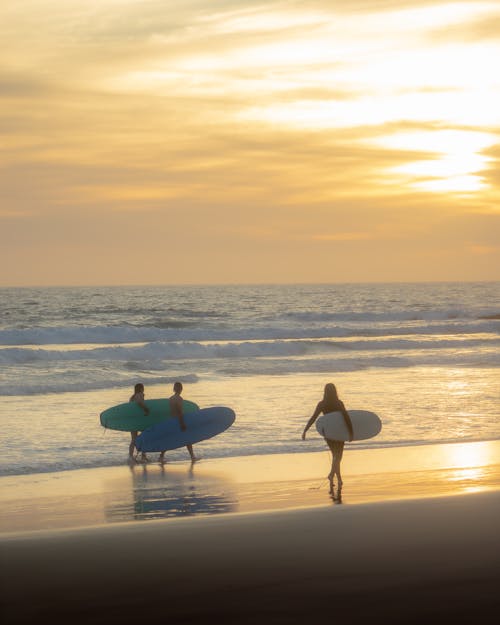 People Walking with Surfboards on Beach at Sunset