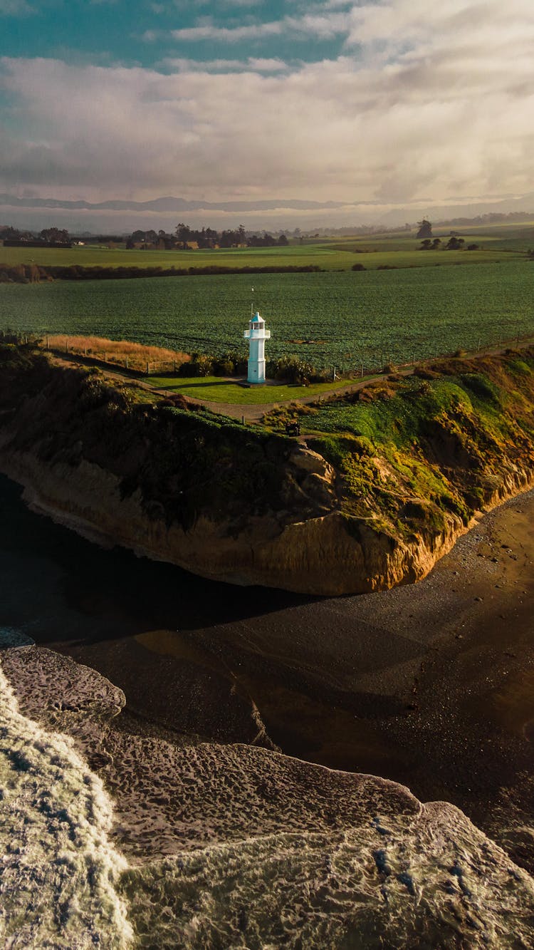 Field On Sea Coast In New Zealand