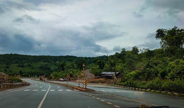 背面紫色的观叶盆栽是什么品种?-第4张图片-吾爱花网 背面紫色的观叶盆栽是什么品种?-第4张图片-吾爱花网