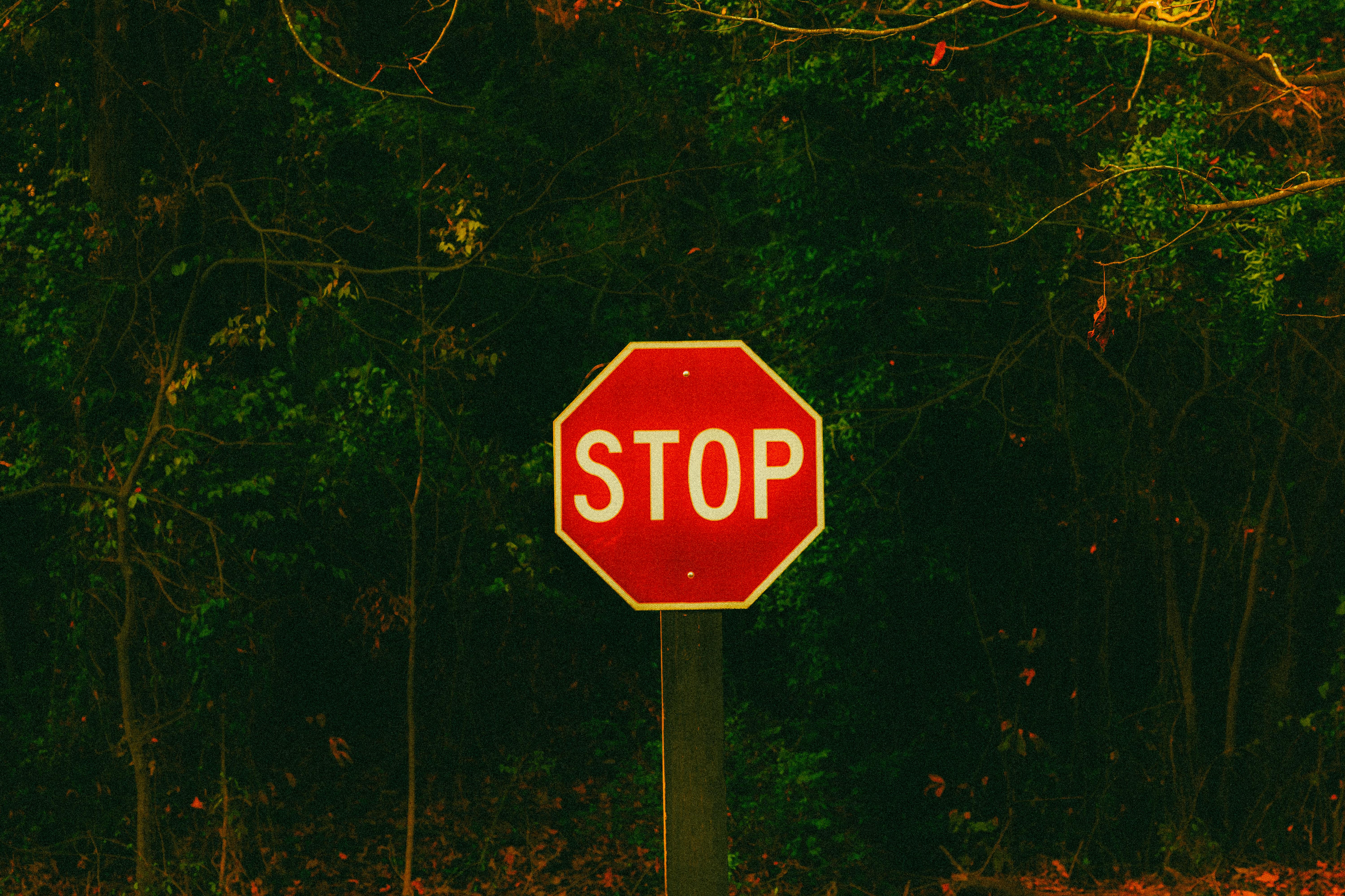 A bright red stop sign stands prominently against a lush forest backdrop.