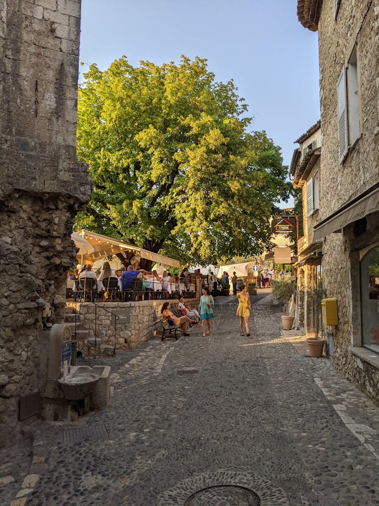 Cobblestone Street In Town