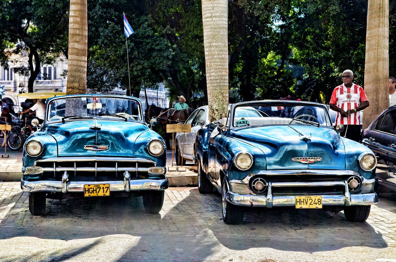 Photos provided by Pexels Photos provided by Pexels