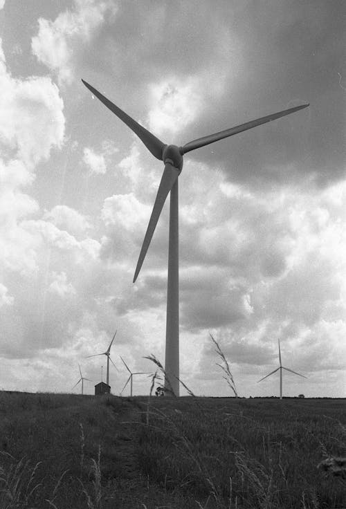 Windmill in Black and White