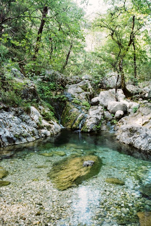 Foto profissional grátis de cachoeira, corrente, floresta