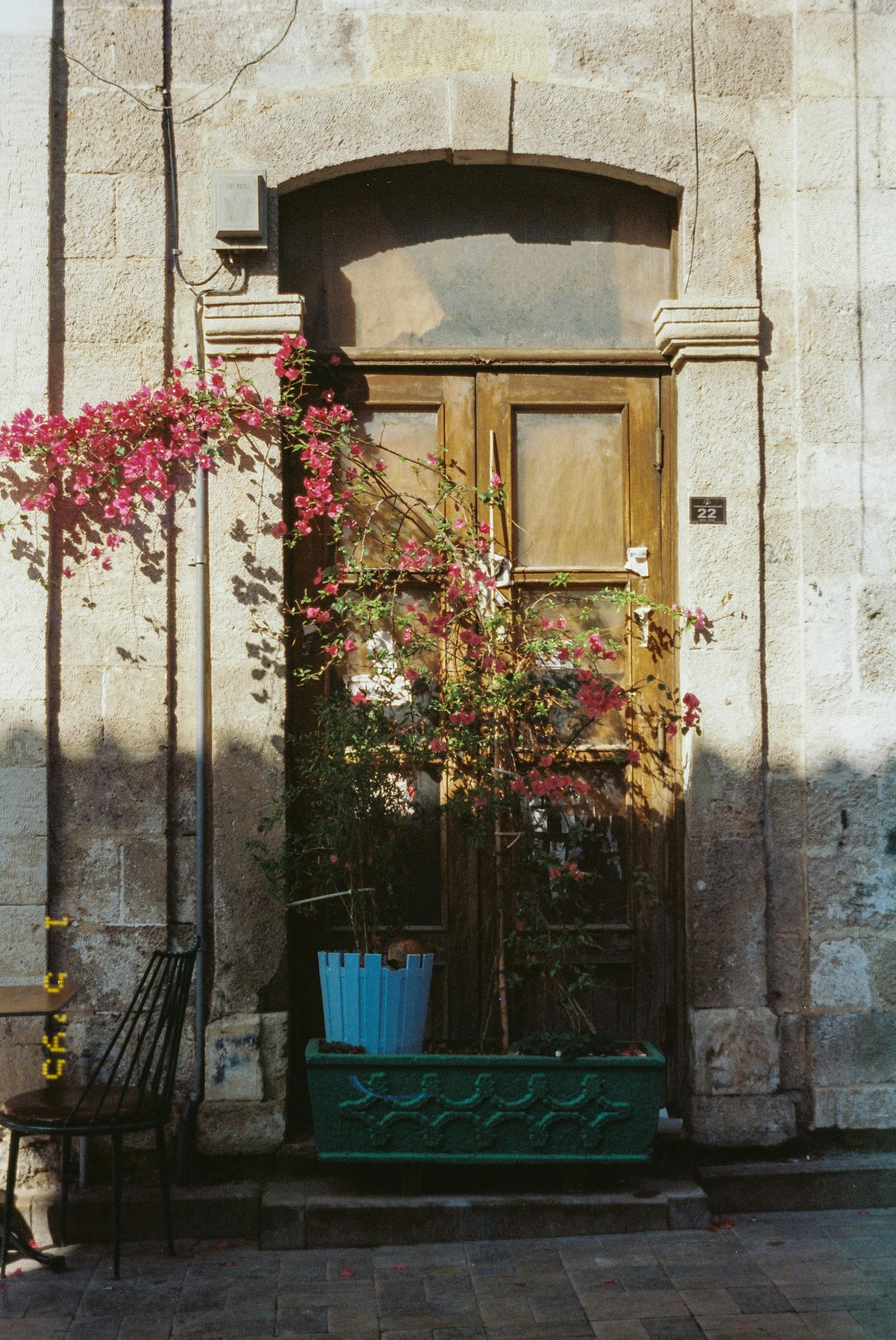 Gratis Flores Alrededor De La Puerta Del Edificio Foto de stock