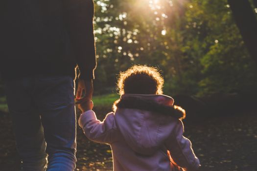 methylation support