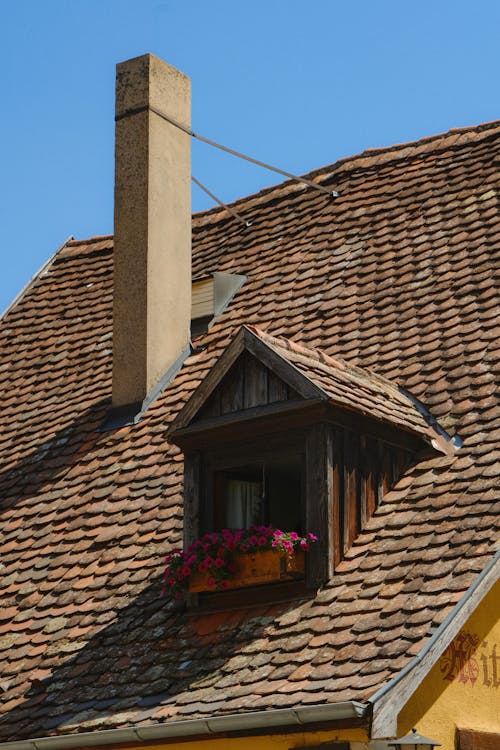 Бесплатное стоковое фото с architecture, chimney, flowers