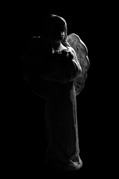 Free Angel Stock Photo