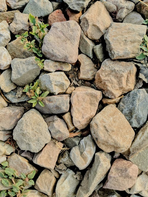 çekilmiş, dikey atış, dünya içeren Ücretsiz stok fotoğraf