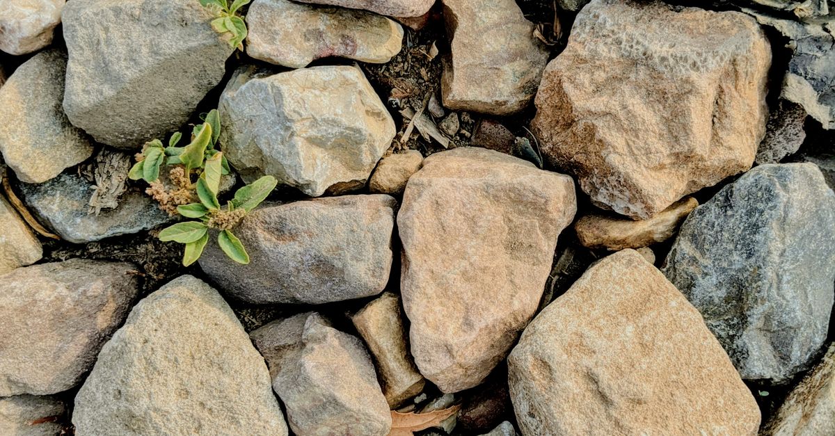 Layed With Rocks Rocks Lying on the Ground · Free Stock Photo