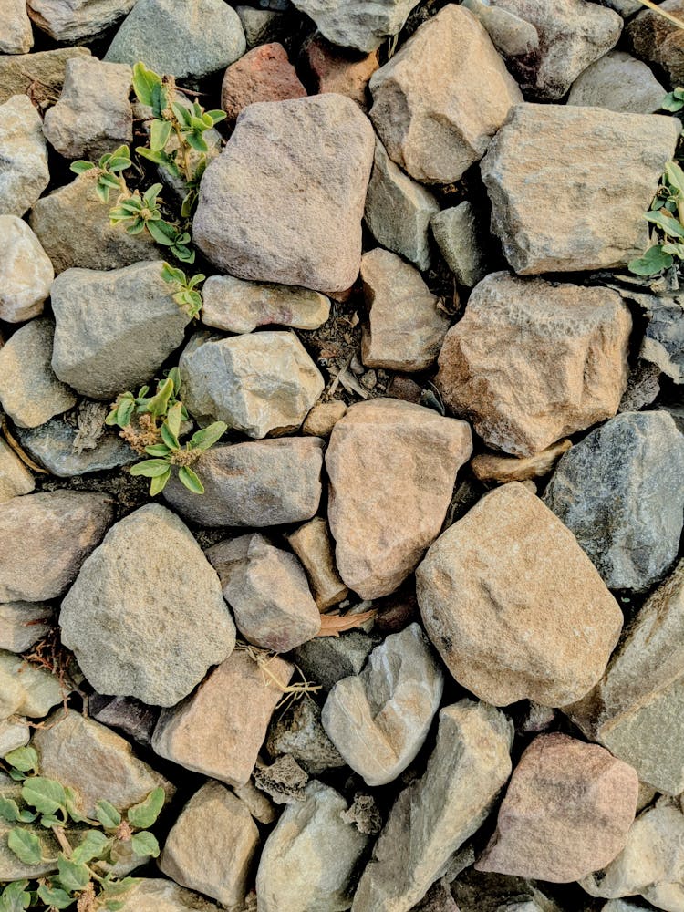 Rocks Lying On The Ground