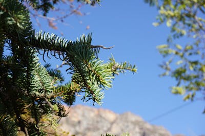 Children in reading corner