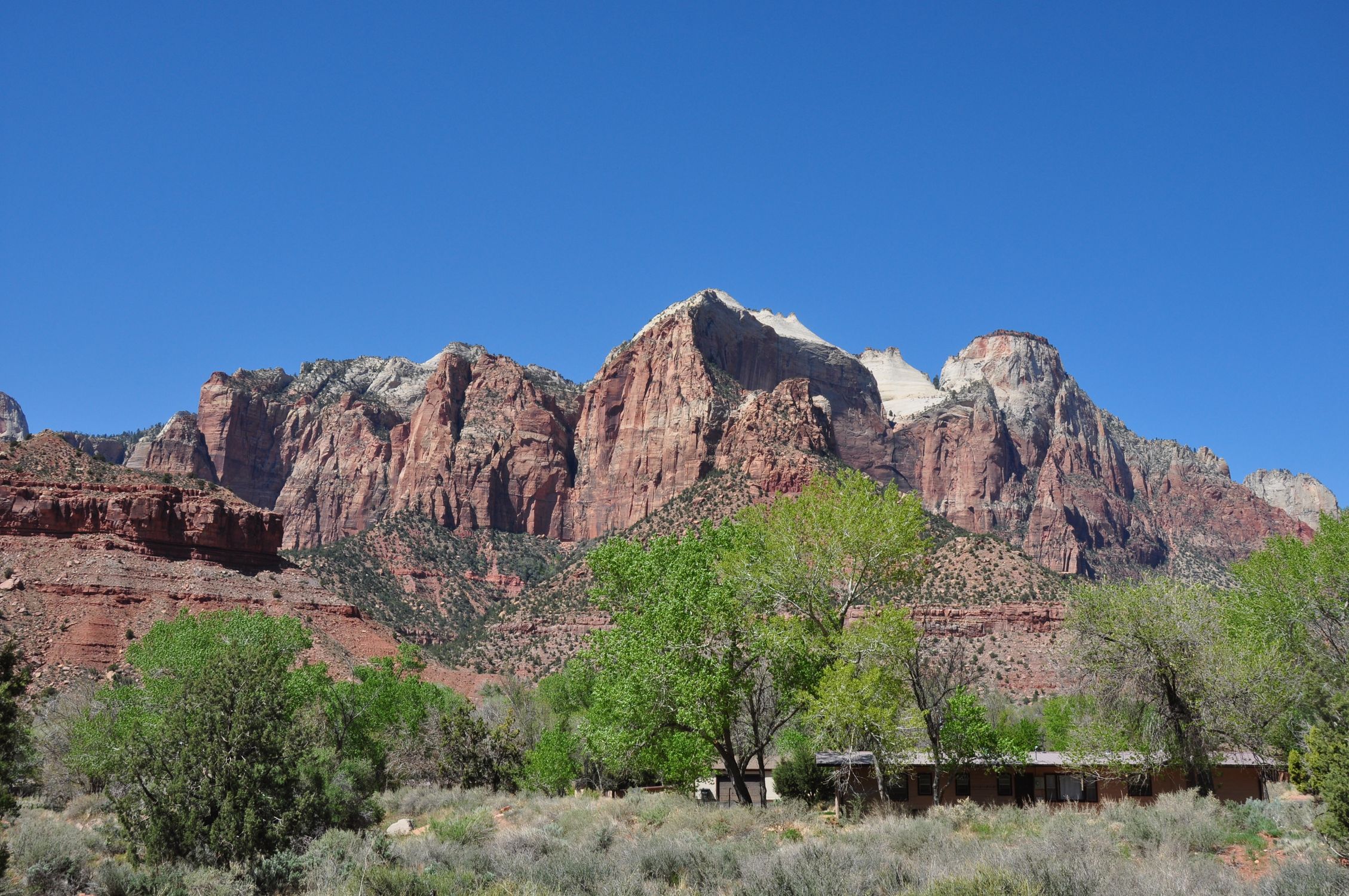 Breathtaking view of red rock cliffs and vibrant foliage at Zion National Park.