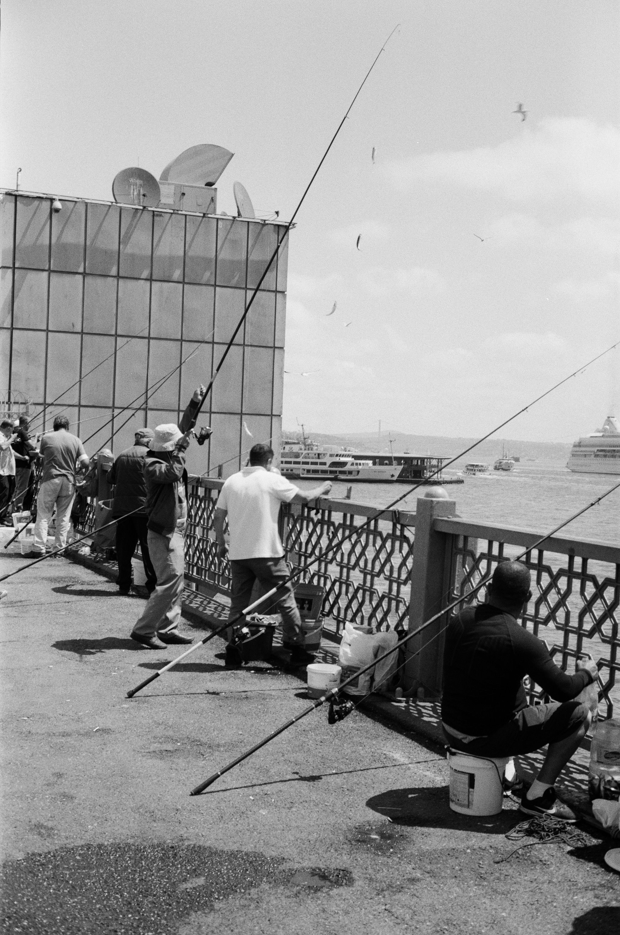 Woman and Man among People Walking on Galata Bridge · Free Stock Photo