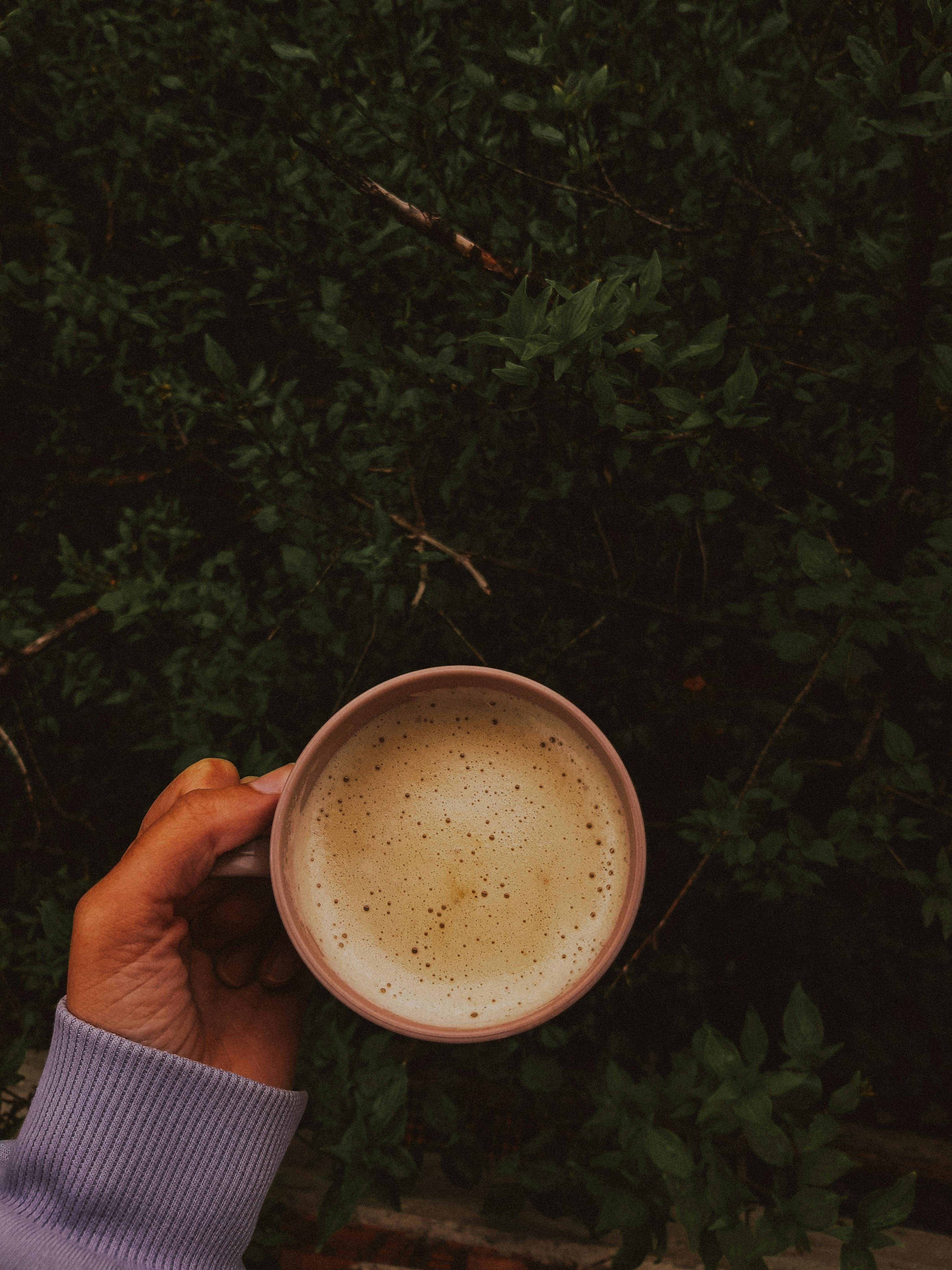 Hand Holding Coffee Cup · Free Stock Photo