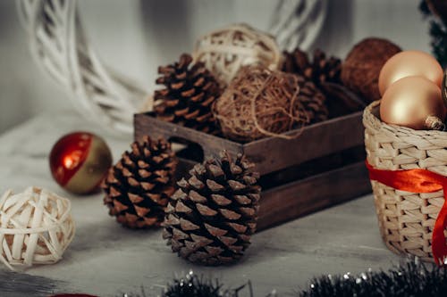 Free Pine Cones In Crate Stock Photo