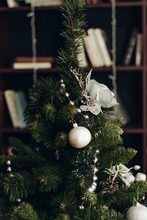 Foto d'estoc gratuïta de Adorns de Nadal, arbre de Nadal, celebració