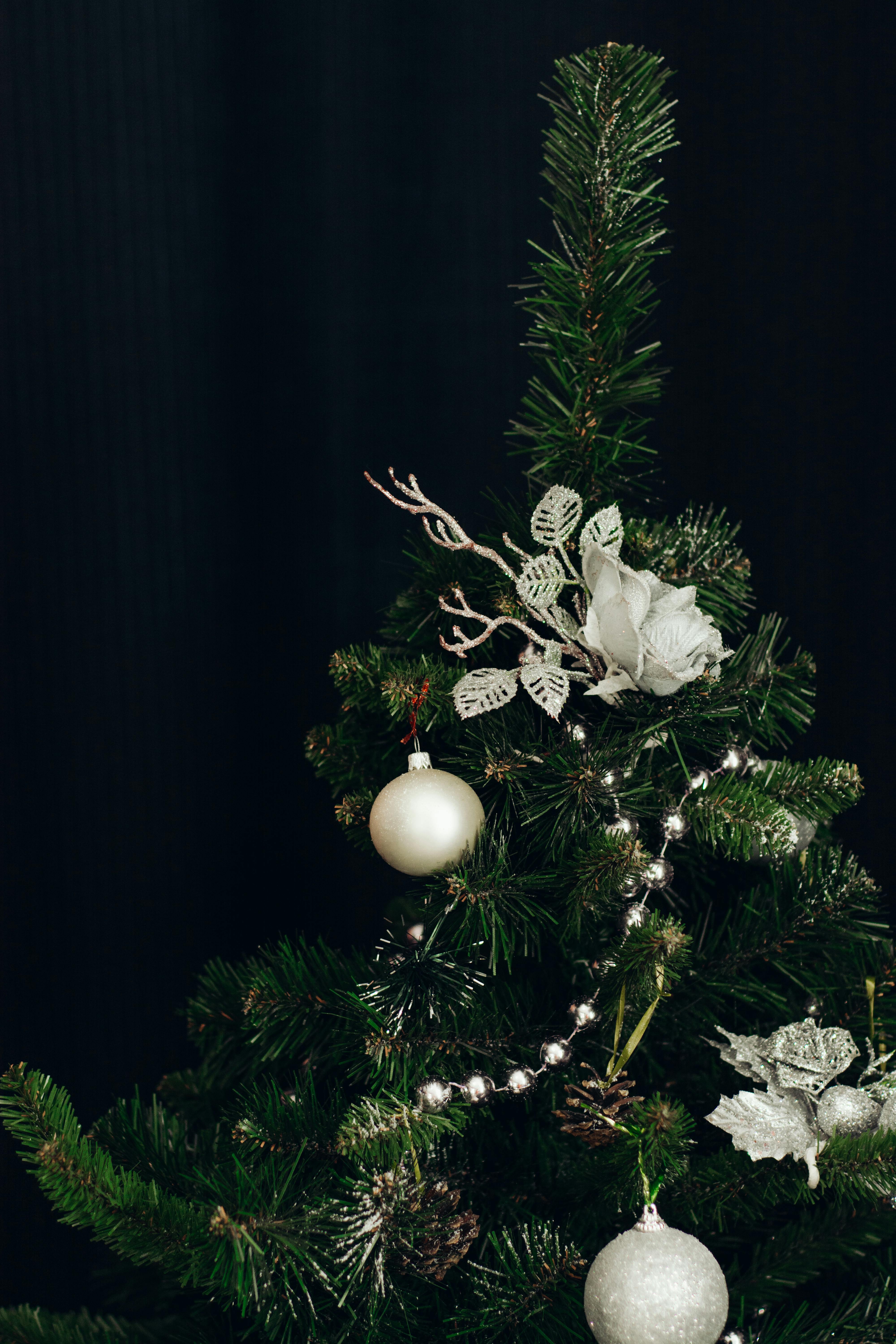 Suasana Emas Hitam Natal Imej Latar Belakang Musim Sejuk