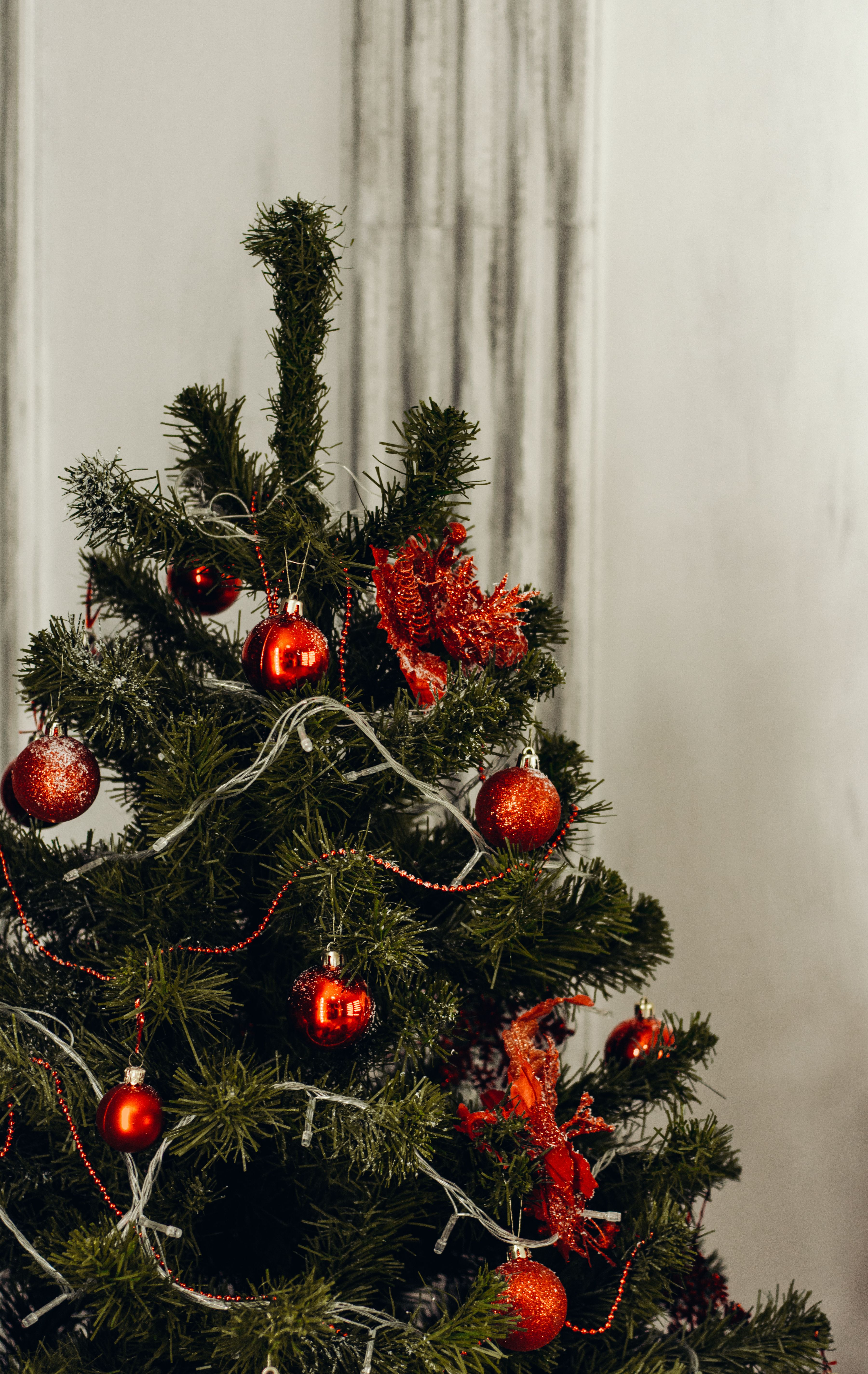 Green and Red Christmas Tree · Free Stock Photo