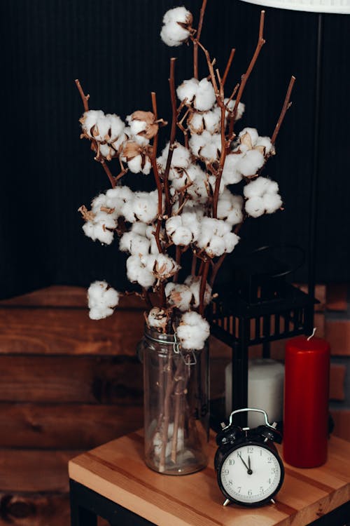 Free White Cotton Flowers in Vase Beside Clock Stock Photo