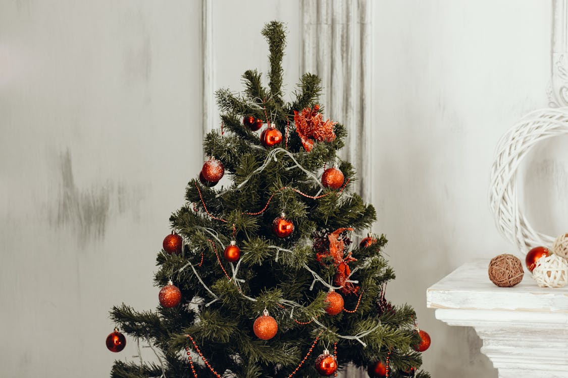 ▼專家建議聖誕樹須放在客廳或玄關角落。（示意圖／翻攝自pexels）
