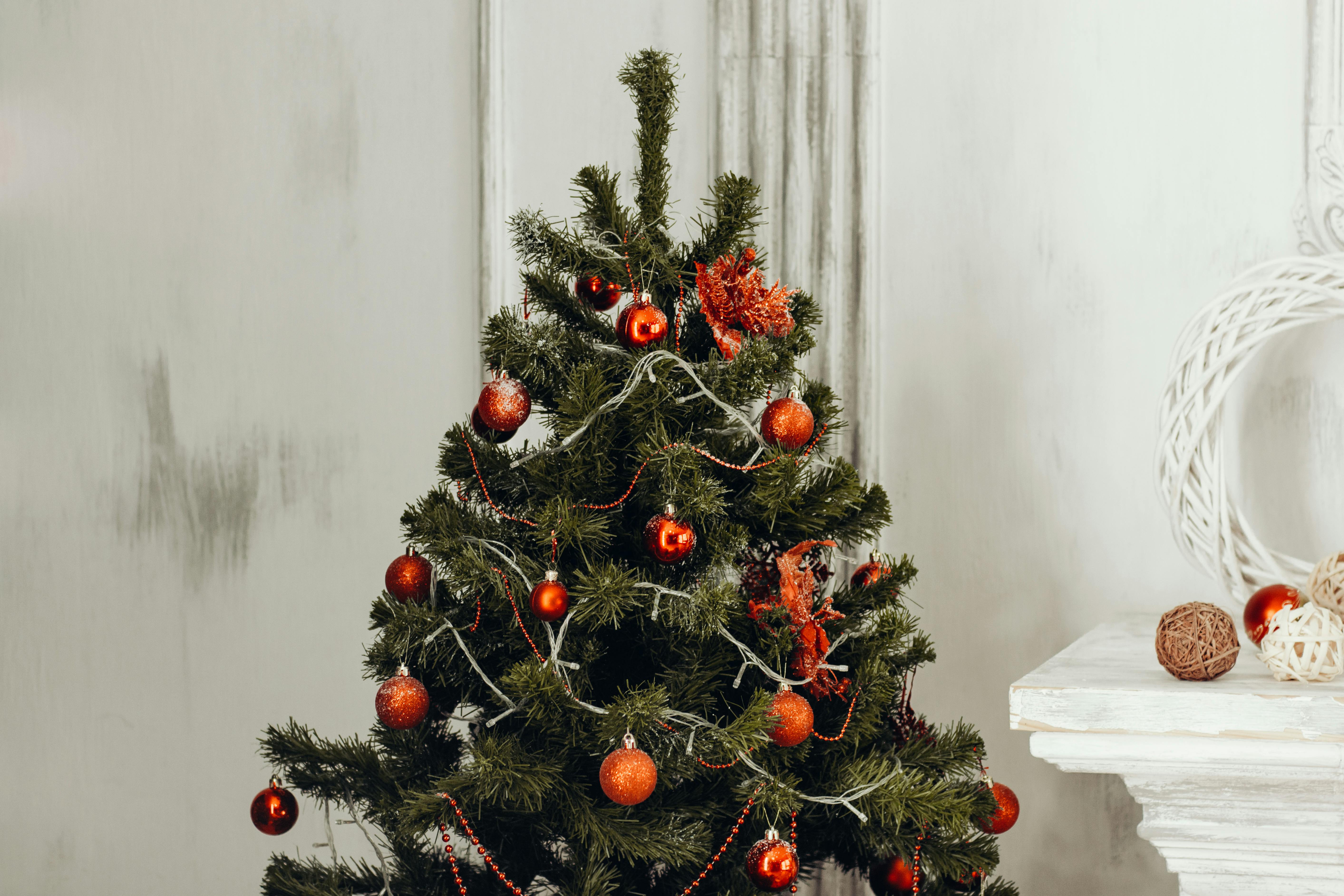 Green Christmas Tree With Orange Bauble Free Stock Photo