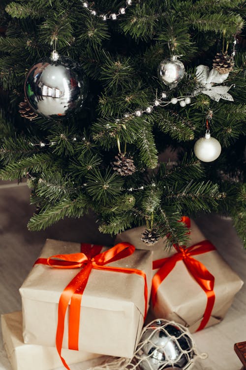 Free Photo of Gifts Under Christmas Tree Stock Photo