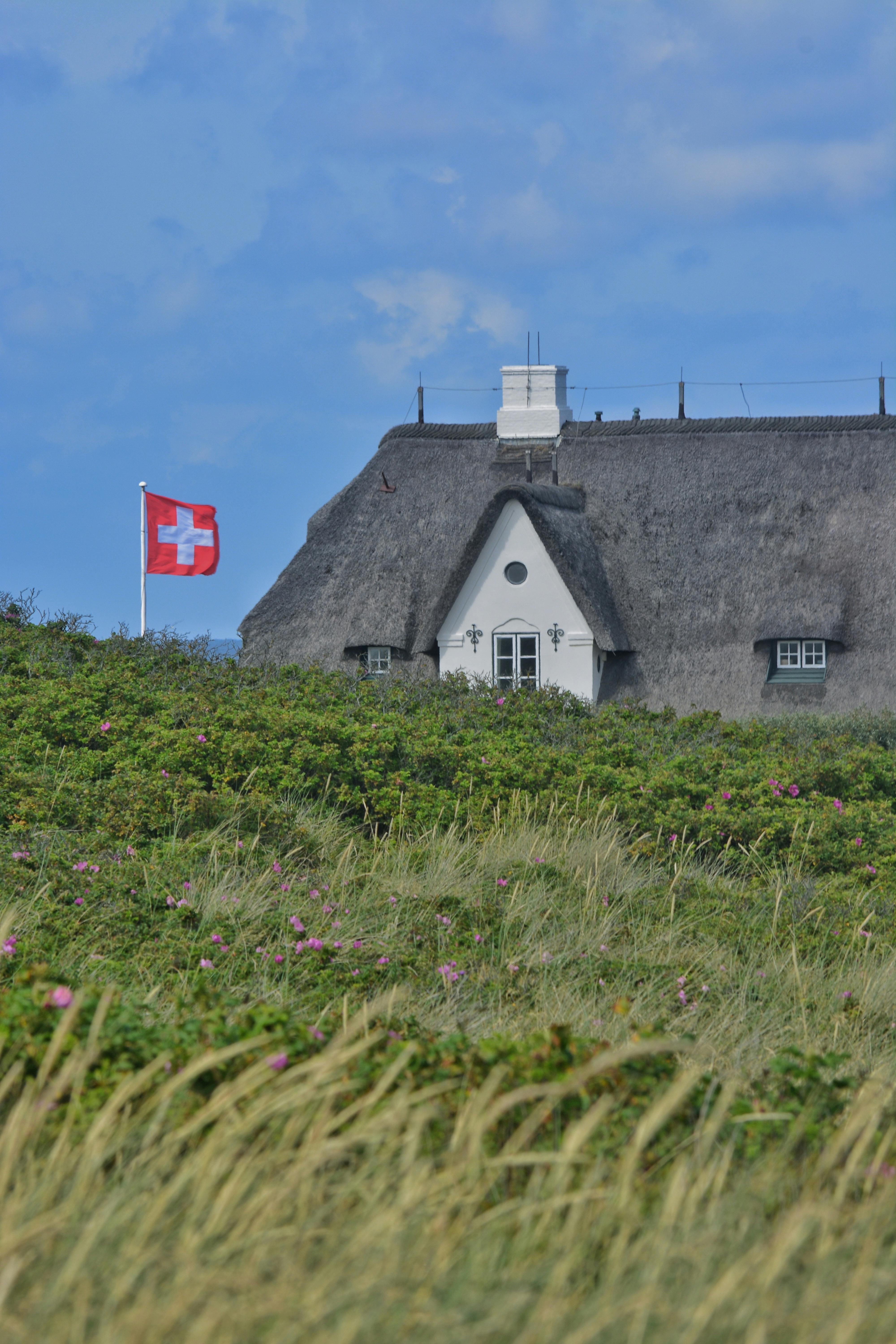 Thatched cottage with a Swiss flag set against a vibrant countryside background.