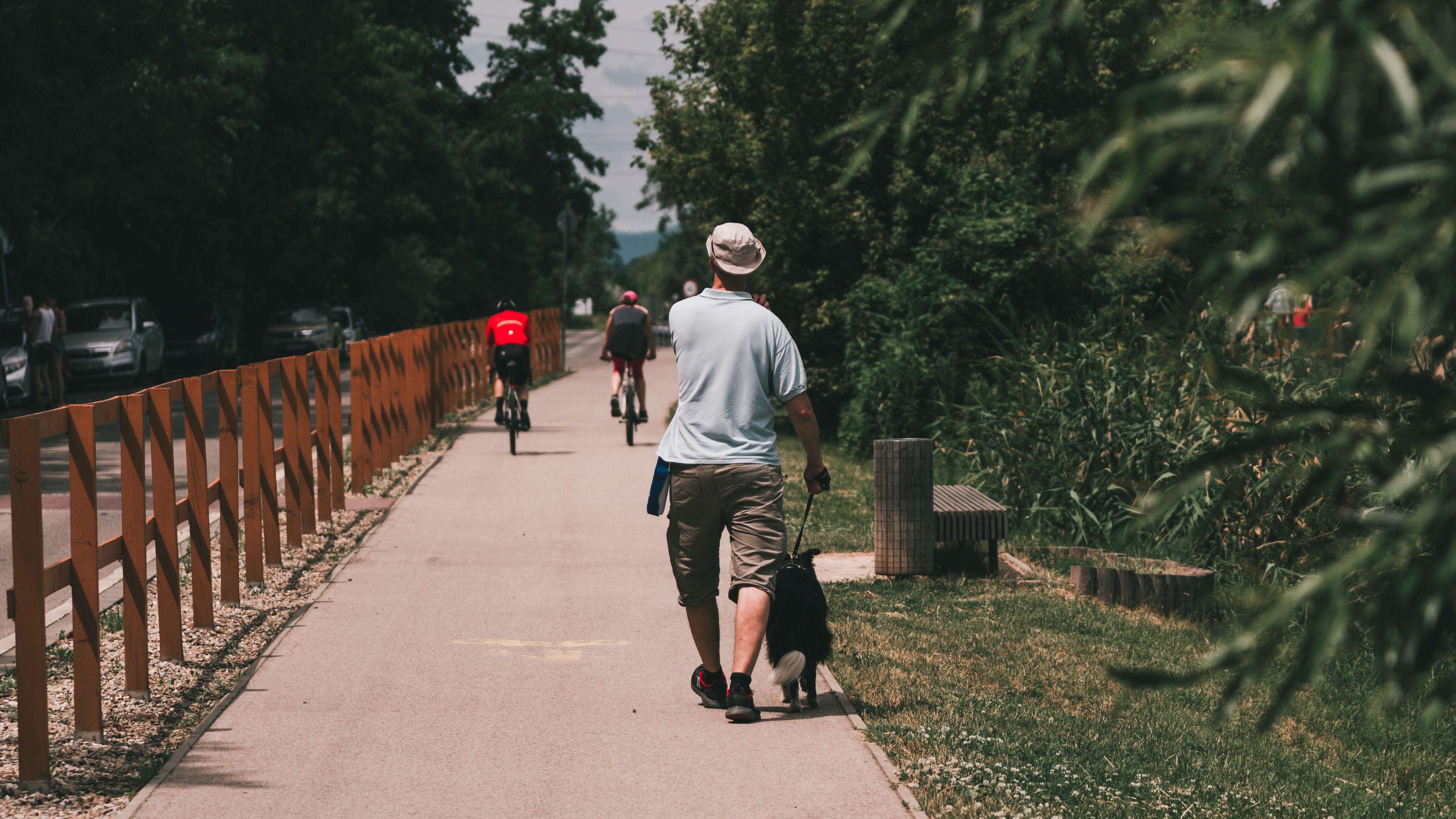 A dog sitting calmly on a path as a cyclist passes at a distance