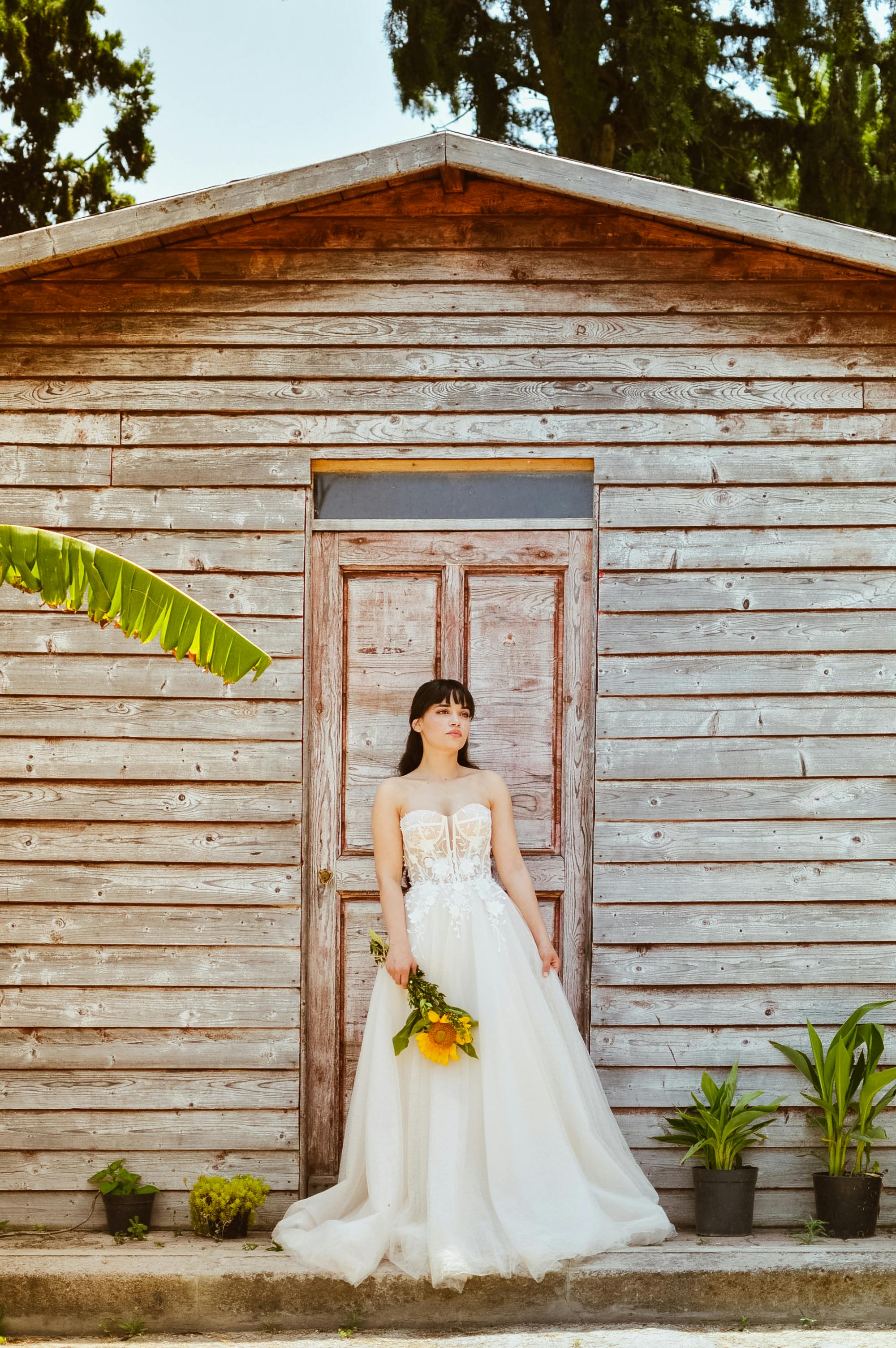 Bride in a stunning wedding dress holding a sunflower bouquet by a rustic wooden house.
