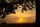 summer sunset