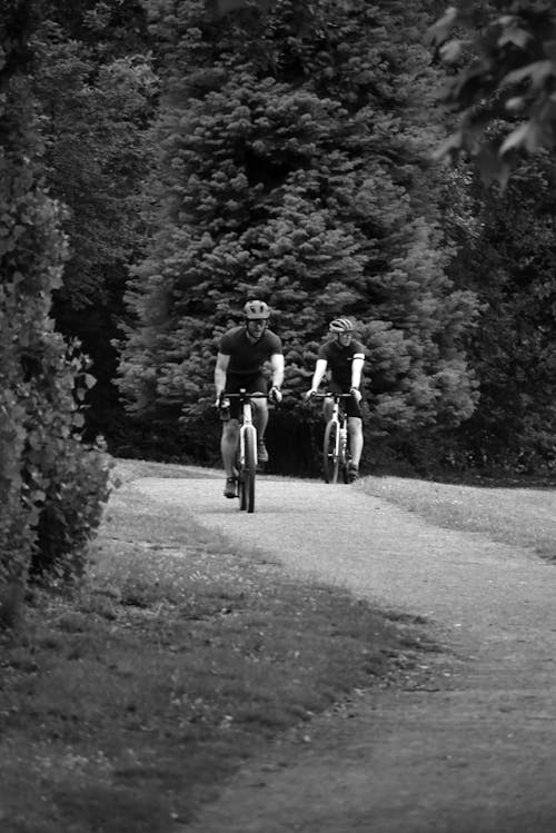 Two Men Riding Bicycles on a Park Alley