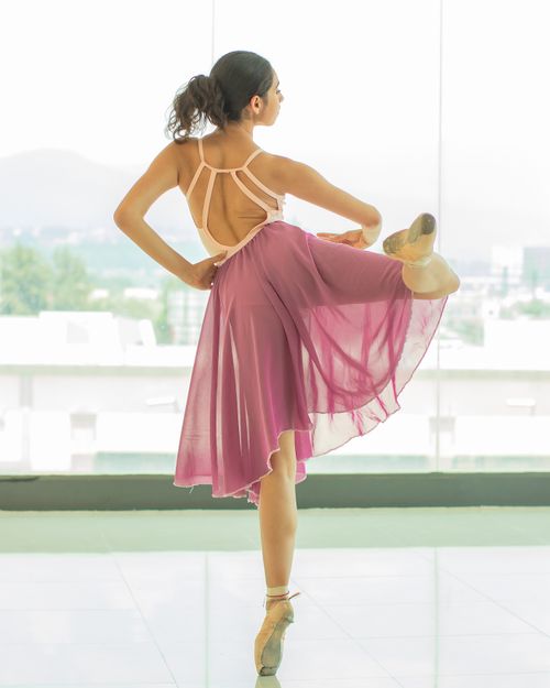 Free Ballet dancer elegantly posing in a studio with a scenic view, showcasing grace and poise. Stock Photo