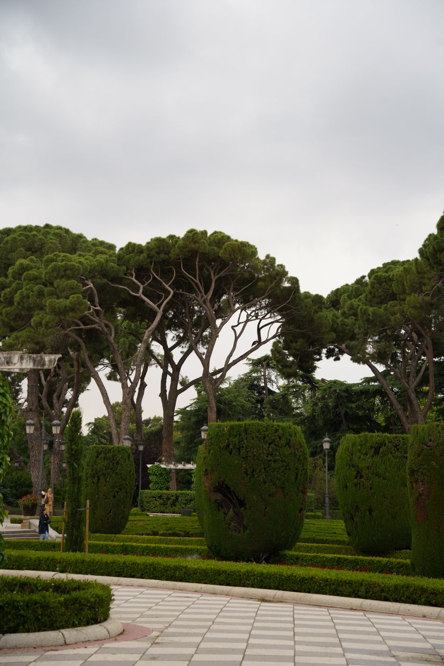 Parque Infante Dom Pedro in Aveiro verwandelt sich in eine wahre Bühne der Brasilianität