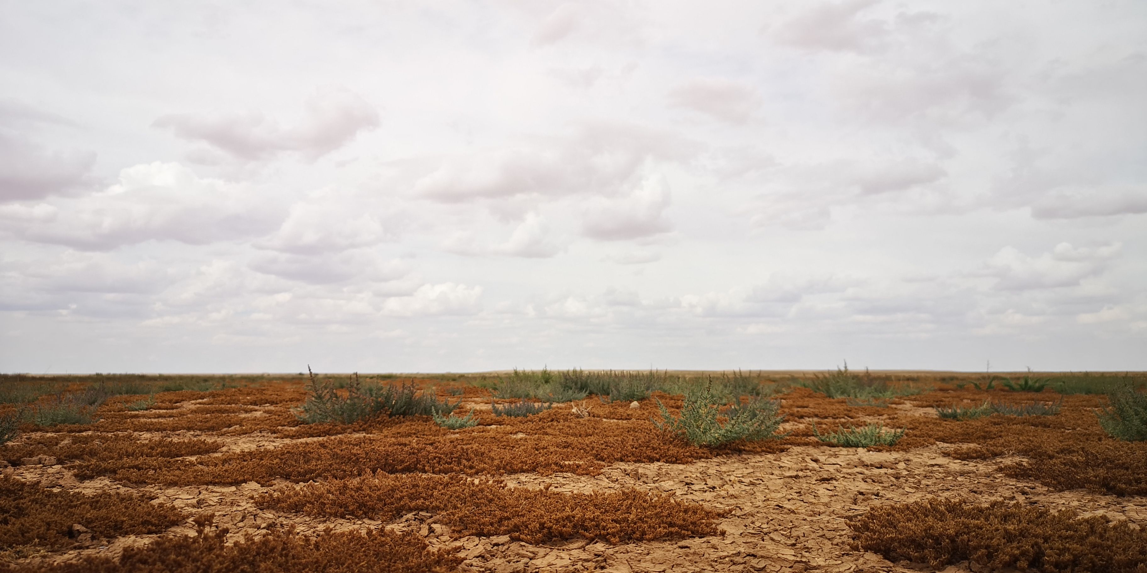 nullarbor plain