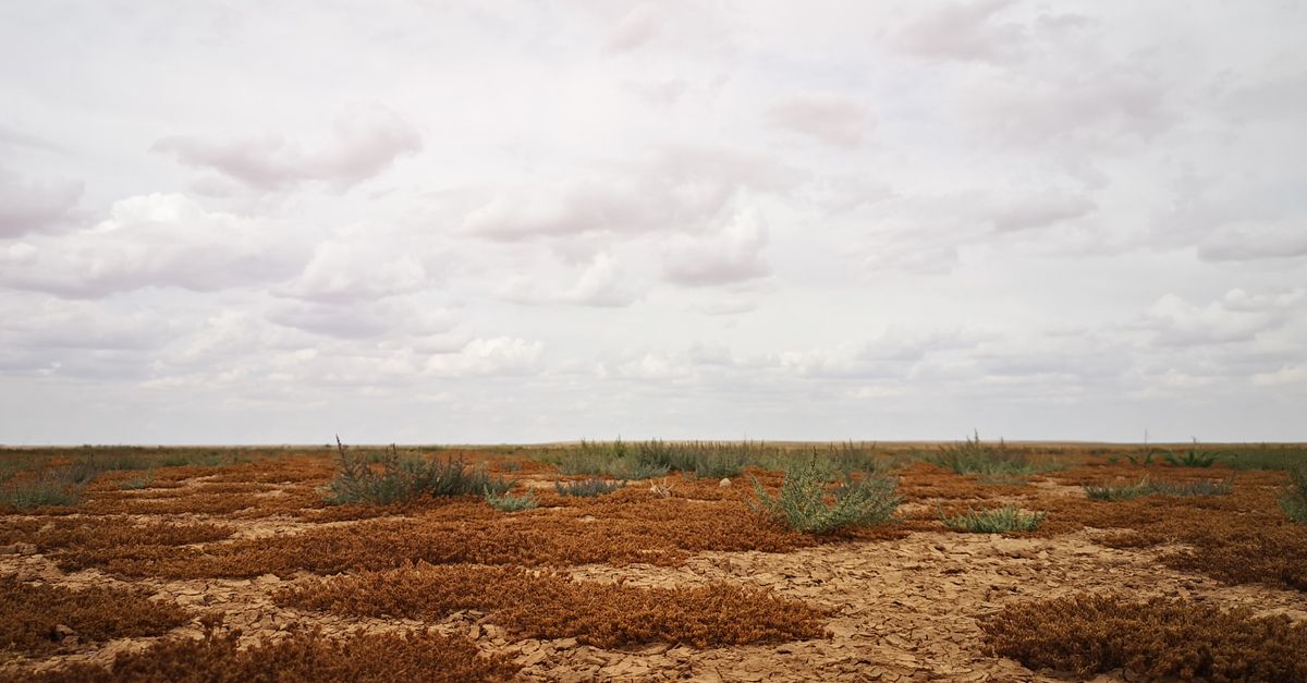 nullarbor plain