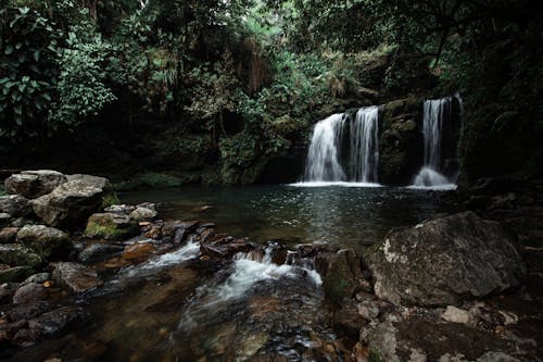 Waterfalls on Rocks in Forest