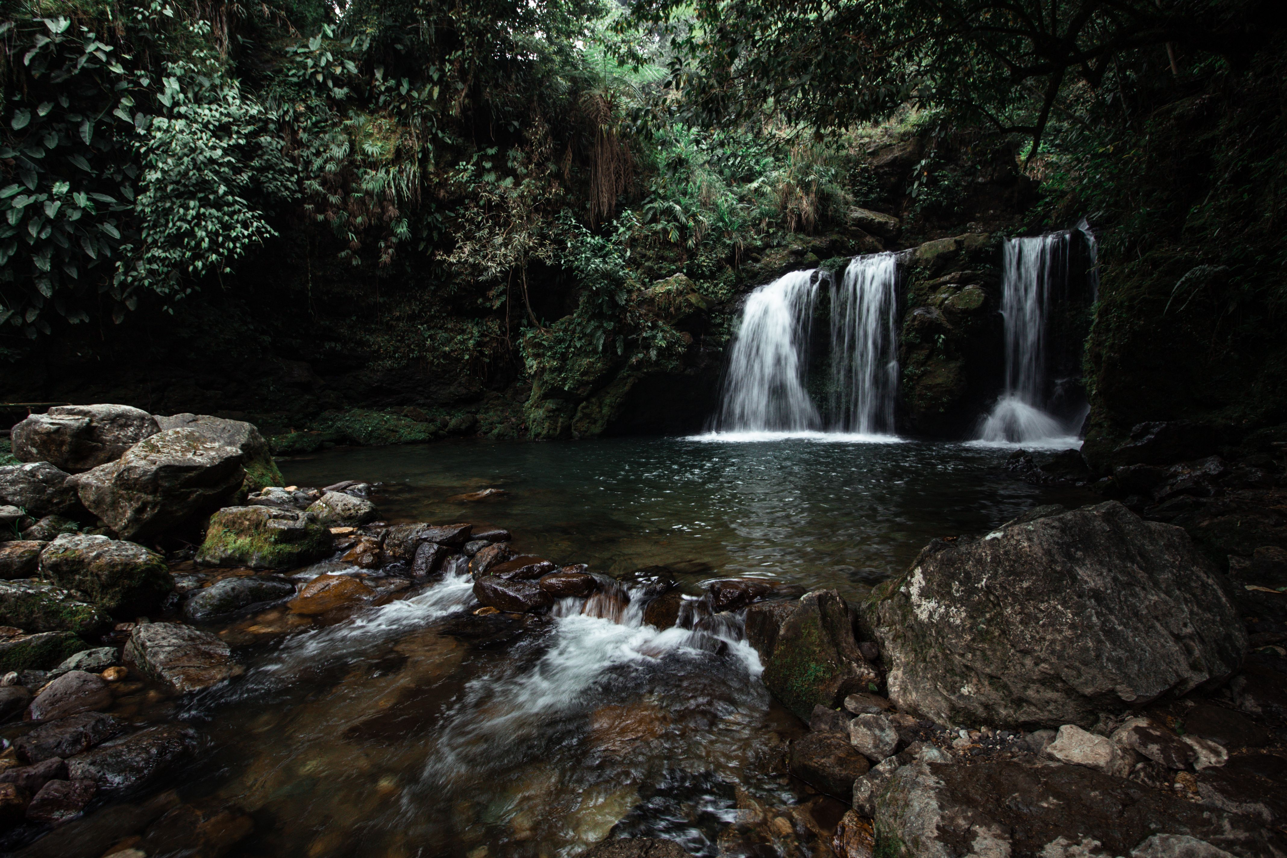 Waterfalls on Rocks in Forest · Free Stock Photo