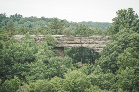 Natural Rock Bridge