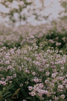 Image by Yasemin Gunes
