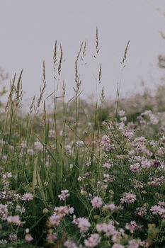 Image by Yasemin Gunes