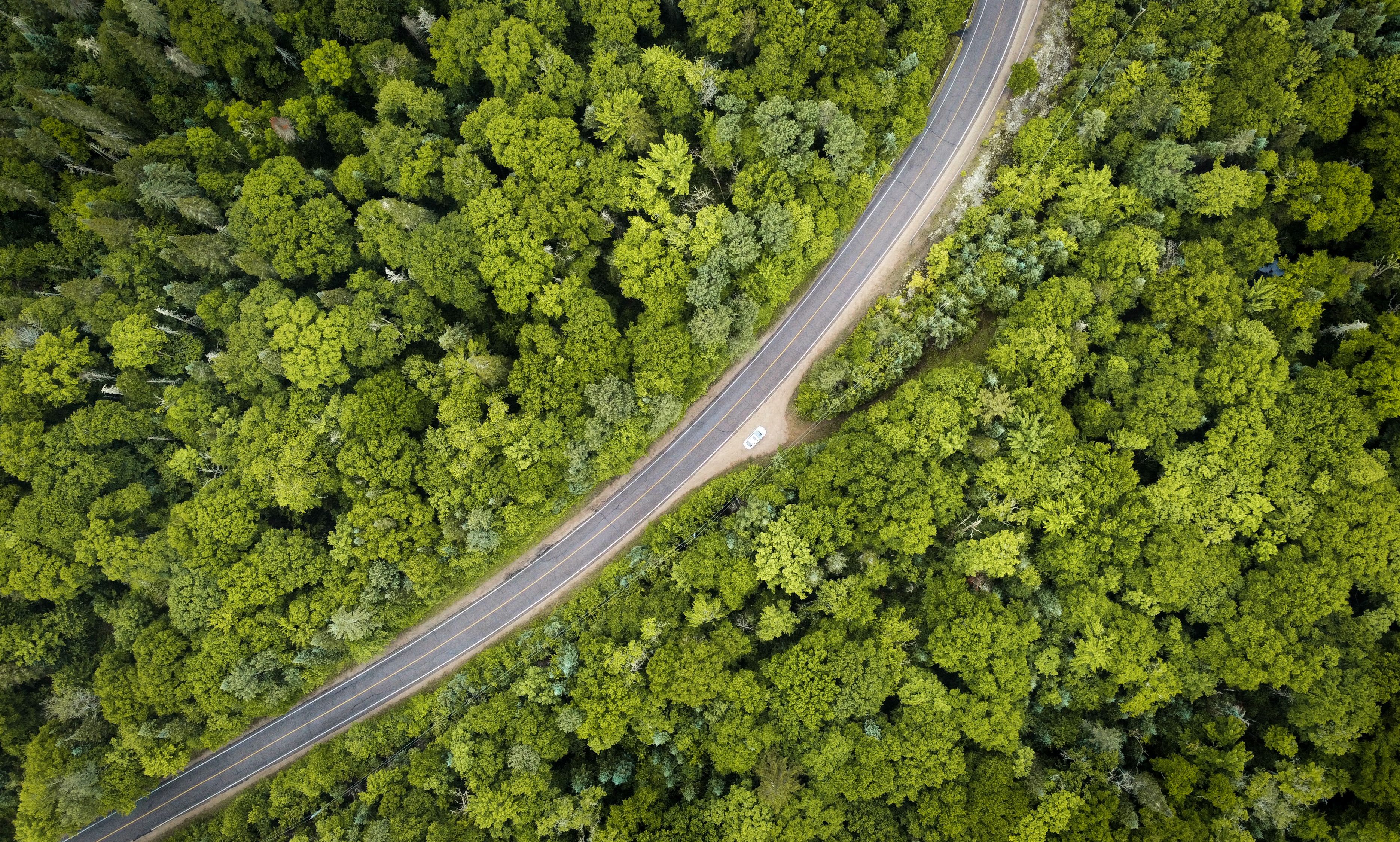 ACRES ESG, Executive Compensation, and Corporate Governance: 2025 SEC Filing Overview — Photo by Mathieu Deslauriers on Pexel