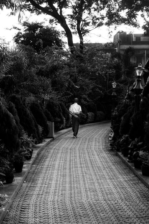 Free A solitary man walks down a plant-lined urban alley, captured in black and white, evoking tranquility. Stock Photo