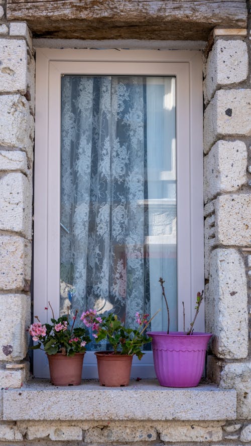 Foto stok gratis ambang jendela, bangunan, bunga-bunga