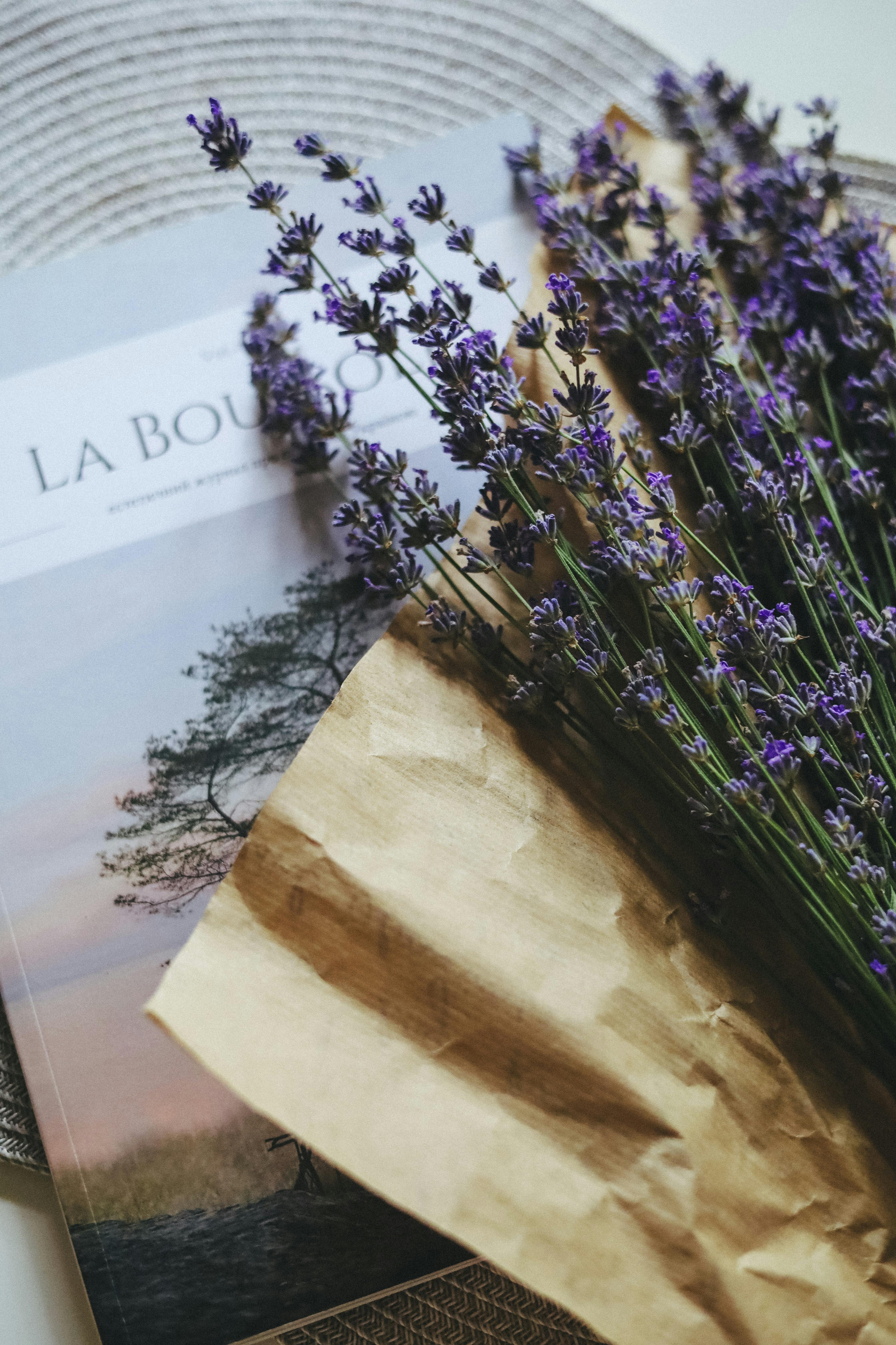 Aesthetic still life of lavender bouquet on a magazine, perfect for decor inspiration.