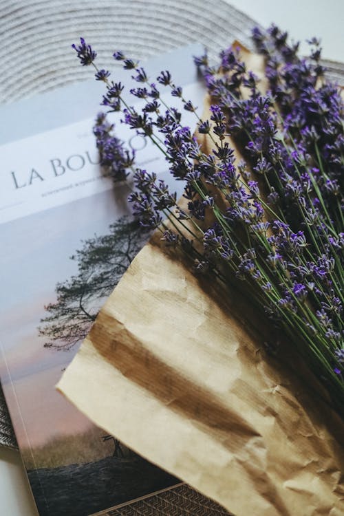 Still Life with Lavender Flowers 