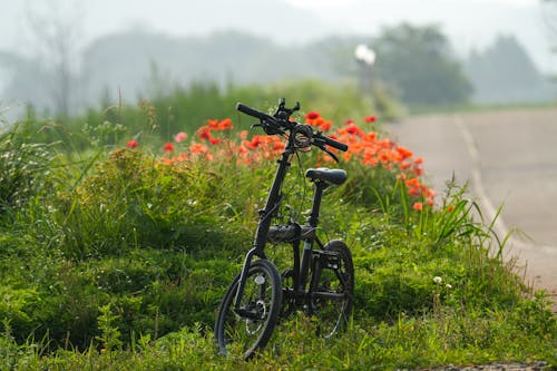 Fotobanka s bezplatnými fotkami na tému bicykel, cesta, cestovať