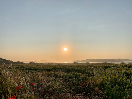 Ilmainen kuvapankkikuva tunnisteilla aamu, aikainen aamu, auringon heijastus