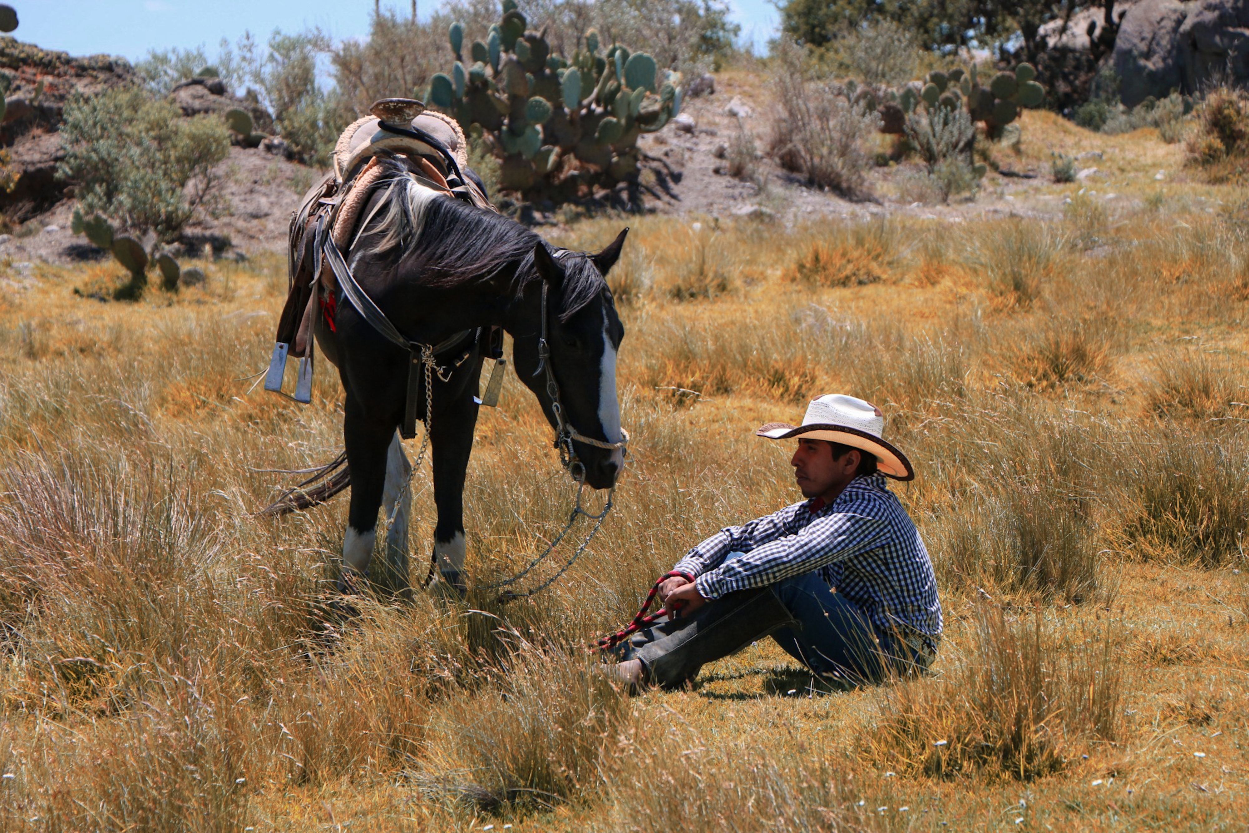 Foto de stock gratuita sobre adulto, agricultura, al aire libre ...