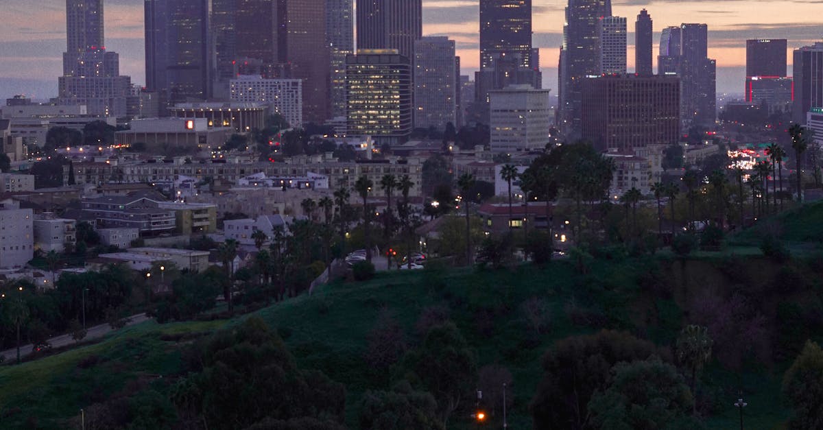 Une femme faisant des exercices de musculation avec des haltères dans son salon.